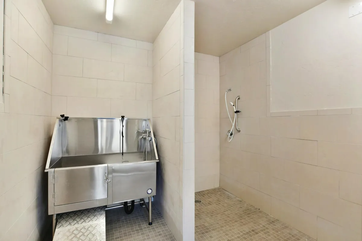 A practical, clean dog washing station is the focal point of this image, with a stainless steel sink and shower area designed for easy pet care. The setting is bright, organized, and inviting for both owners and pets.